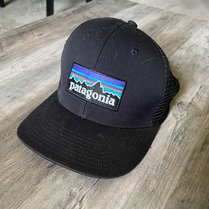 Patagonia Snapback